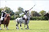 UKPA NC SAT_2319